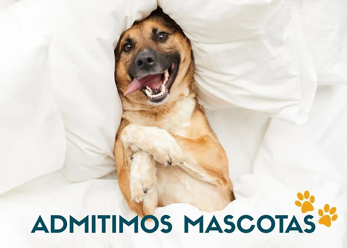 Apartamentos Catedral Plaza 3000